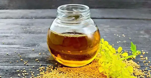 পত্রিকা