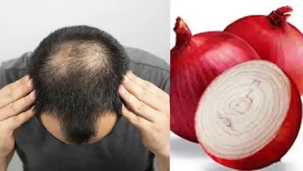 পত্রিকা