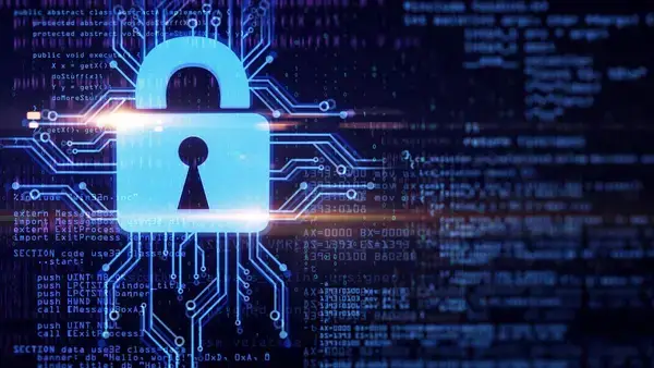 অনলাইন তথ্য রয়েছে  ঝুঁকিতে-প্রযুক্তিবিদদের ভয়ানক বিশ্লেষণ