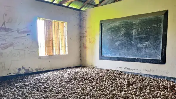 পত্রিকা