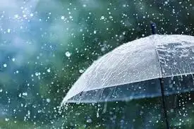 বৃষ্টির গন্ধ: মাটির ভেতর লুকানো এক প্রাকৃতিক বিস্ময়