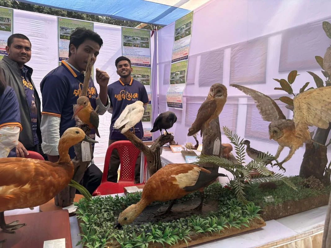 রাবিতে বসেছে পাখি মেলা, প্রাণহীন দেহে প্রাণের উপস্থিতি