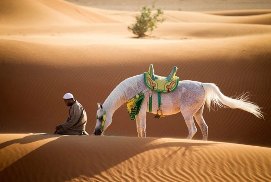 কসর নামাজ কী? কখন কি ভাবে পড়তে হয়