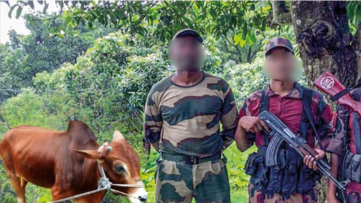 লালমনিরহাটের দহগ্রামে অবৈধ অনুপ্রবেশের অভিযোগে গরুসহ বিএসএফ সদস্য আটক