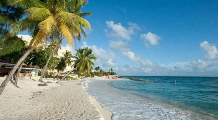 পত্রিকা