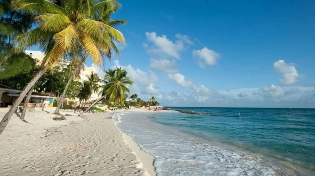 পত্রিকা