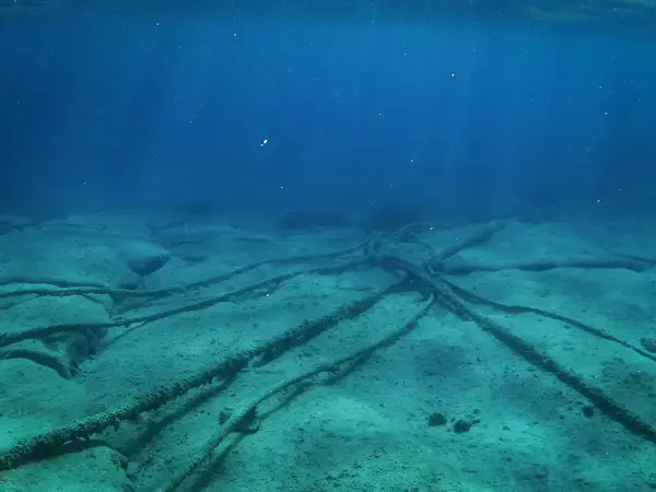 সমুদ্রতলে ছুটে চলেছে আপনার ইনবক্সের বার্তা!