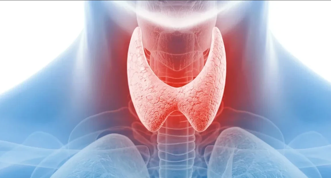 অজান্তেই বাড়ছে থাইরয়েড! সুস্থ থাকতে খাবারের তালিকায় আনুন জরুরি এই পরিবর্তন।