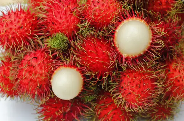 টিউমার, পেট ব্যথা থেকে কাশি! বহু রোগের মহা-ওষুধ 'রামবুটান' ফল! উপকারিতা চমকে দেবে আপনাকে