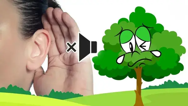 গ্রিনহাউস গ্যাস কমানোর নতুন প্রযুক্তি