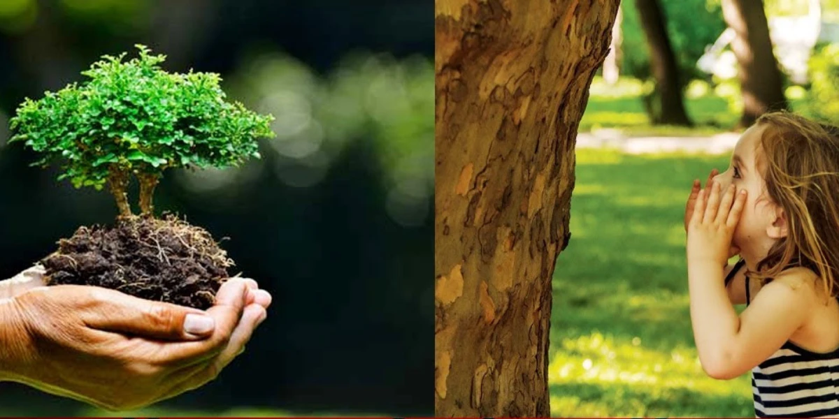 গাছের সঙ্গে কথা বললে কি সত্যিই তারা দ্রুত বেড়ে ওঠে? গাছের বৃদ্ধির রহস্য!