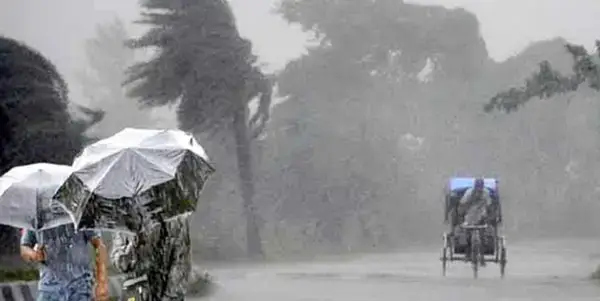 পত্রিকা