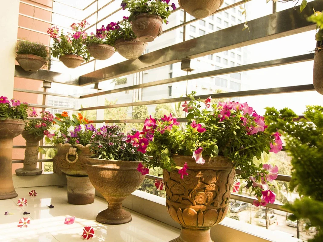 শীতের ঠাণ্ডায়ও ফুলের সৌন্দর্য ধরে রাখুন- সহজ ও কার্যকর টিপস যা সবাই জানে না